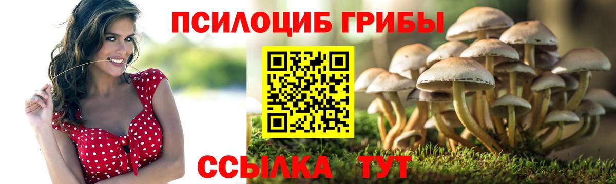 купить   Вход с VPN  Топки  Псилоцибиновые грибы прущие грибы  Галлюциногенные грибы GOLDEN TEACHER 